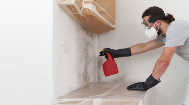 Professional Basement Mold Remediation technician working in Oxford, MI