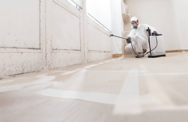 24/7 Emergency Basement Mold Remediation experts in Oxford, MI