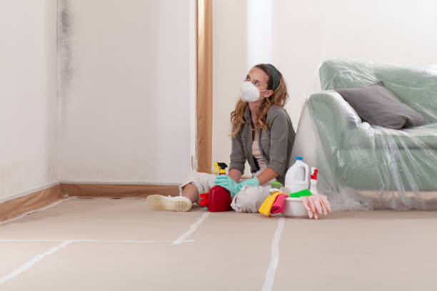 Reliable Basement Mold Remediation contractor in Oxford, MI by Mold Remediation HQ